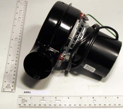 Regal Rexnord - Fasco A081 DraftInducerMotor 230v 1sp | Midwest Supply Us