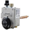 110-202 | NG WTR HTR,160F,1/2