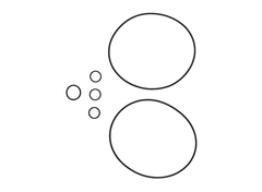 Grundfos 96455090 Gasket Kit CR/I/N 1S/1/3/5 | Midwest Supply Us