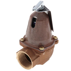 Xylem-Bell & Gossett 110135 1170-125, 3,735,000 BTU Capacity Relief Valve | Midwest Supply Us