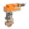G225S-L+LVX24-SR | Globe Valve | 1