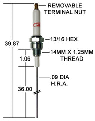 Crown Engineering CA487 IGNITER/OJ-21-4 W/36" TIP | Midwest Supply Us