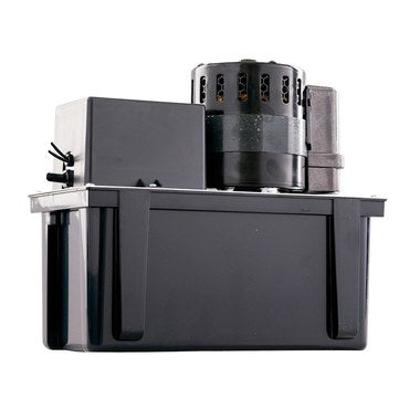 Little Giant | 553240