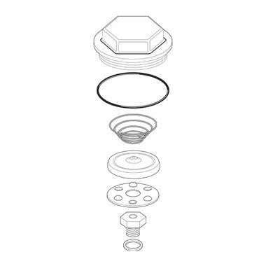 Spirax-Sarco | 66445