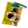 383500095 | Relief Valve Pressure ASME 3/4 Inch 30 Pounds per Square Inch | Weil Mclain