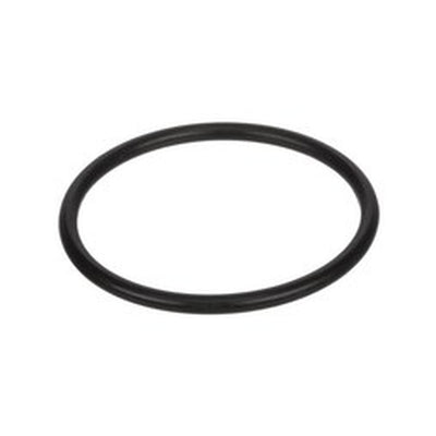 Rinnai | 809000053