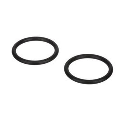 Rinnai | 809000064