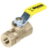 41699 | Ball Valve Mini Petcock 1/4 Inch Female x Female Brass Full Port 600WOG-PSI PTFE/FKM 350 Degrees Fahrenheit for Commercial or Industrial Use with Water Oil or Gas | Webstone