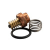 LF70A-RK | Repair Kit Tempering Valve 1/2 to 3/4 Inch Lead Free 0125129 | Watts