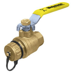 Webstone 40313W Ball Valve Lead Free Brass 3/4" FIPxHose with Cap Full Port | Midwest Supply Us