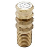 LFTP-E1/4 | Test Plug LFTP 1/4 Inch Lead Free Brass Male Threaded 0123005 | Watts