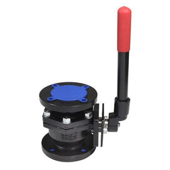 Red White Valve 5800L-212 Ball Valve Cast Iron 2-1/2 Inch Flange Lever Full Port | Midwest Supply Us