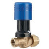 BD1156F-34 | Fill Valve BD1156F Dial Set 3/4 Inch Bronze Threaded 100 Pounds per Square Inch | Watts