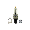 61616 | FILTER REG, AIR ADJ 1/4 NPT | Jergens