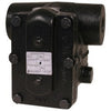 404272 | Steam Trap Float and Thermostatic 1-1/4 Inch FT015I-5 15PSI Cast Iron NPT | Hoffman Controls