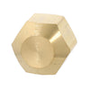 DN5-4 | BRS 1/4 Inch Cap Pack of 10 | DiversiTech