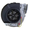 7100P-330 | Combustion Blower Phoenix with Gasket 120V | HTP