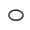 M10B-2-18 | O-Ring All Water Heaters 2KT | Rinnai