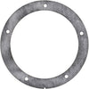 100288892 | K,GASKET,BURNER,200 MM,QTY. 2 | Lochinvar / AO Smith