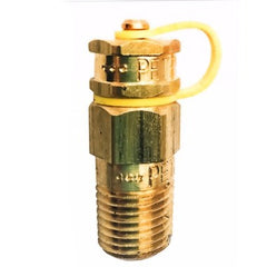 ASHCROFT 50PETE Plug Petes 1/2 Inch Brass/EPDM for Water | Midwest Supply Us