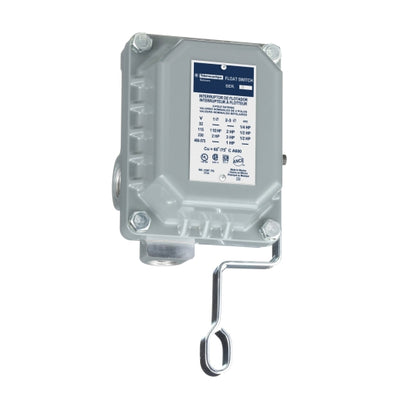 Schneider Electric (Square D) | 9036DW31