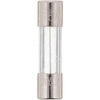 100112881 | Time Delay Fuse AO Smith 5.0 250 Volt | Water Heater Parts