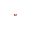 100076303 | O-Ring P4 FKM | Water Heater Parts