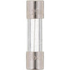 100307596 | Fuse AO Smith 1.25 Amp 250 Volt | Water Heater Parts