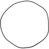 100307614 | Gasket AO Smith Door O-Ring PWH1250-2000 | Water Heater Parts