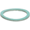100296927 | Circulator Pump AO Smith Composite with Gasket 115 Volt | Water Heater Parts