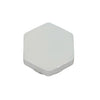 100108667 | Plug for NPSM | Water Heater Parts