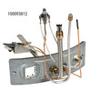 100093812 | Door Switch Natural Gas for FG50T40 Fiberglass | Water Heater Parts