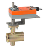 B2100VB-024+NFX24-MFT-S-X1 | VBall Valve | 1