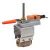 B232VS+AMB24-3-X1 | Ball Valve | 1.25