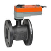 B6250S-070+AFRBUP-S-5-14 | CCV | 2.5