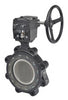 F6500-150SHP+GW25 | Butterfly Valve | 20