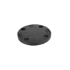 Everflow FGBF03B EVERFLOW 3 #125 CI BLIND FLANGE | Midwest Supply Us