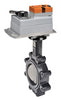 F6150HDU+DKRX24-MFT-T | Butterfly Valve | 6
