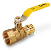 FFBL-034-NL | RAVEN 3/4 F1960 PEX X 3/4 FIP BALL VALVE CUPC/NSF61/NSF372/NSF14 LEAD FREE | Everflow