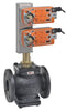 G665C-250+2*AFX24-MFT-X1 | Globe Valve | 2.5
