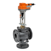 G765DS-250+EVB24-SR | Globe Valve | 2.5