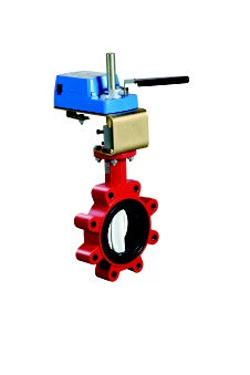 Johnson Controls | M9100-100S