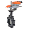 EXT-LD14103BE1AX+GKB24-3-X1 | Potable Water Valve (BV), 3.0