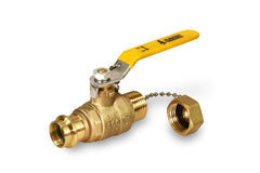 Everflow RHBV-034-NL 3/4" PRESS X 3/4" HOSE Ball valve with Cap Lead Free | Midwest Supply Us