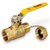 THBV-034-NL | RAVEN 3/4 IPS X 3/4 HOSE BALL VALVE W/CAP CSA CUPC/NSF61/NSF372 LEAD FREE | Everflow