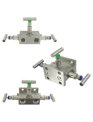 Dwyer Instruments BBV-1F Flanged 3-valve block manifold. | Midwest Supply Us