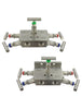 BBV-21 | Valve Block Manifold | Dwyer Instruments