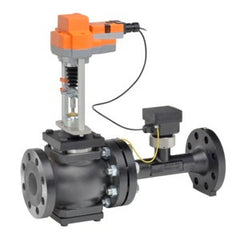 Belimo P6600S-713-250+AVKX24-PI-B ePIV | 6" | 2 Way | 713 GPM | w/ Electronic Fail-Safe | 24V | MFT ANSI 250 | Midwest Supply Us