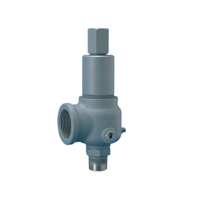 Kunkle Valve | 910BFEM05ALE0125