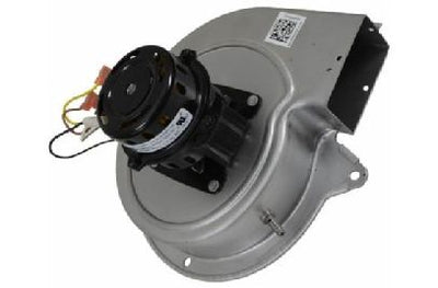 GOODMAN PARTS | 0131M00002PSP